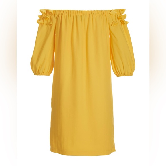 Brand new Boston Proper 3d Floral Bubble Sleeve Shift Dress! Never worn - Picture 3 of 9